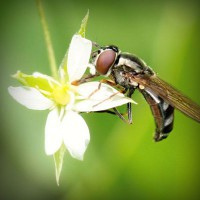 /album/nitudanro/photolia-a02-jpg/