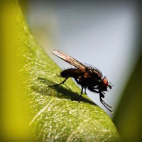 /album/nitudanro/photolia-a04-jpg/