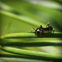 /album/nitudanro/photolia-a05-jpg/