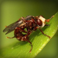 /album/nitudanro/photolia-a06-jpg/